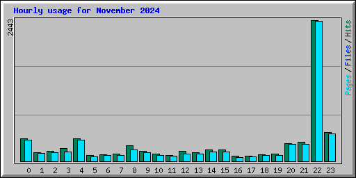 Hourly usage for November 2024